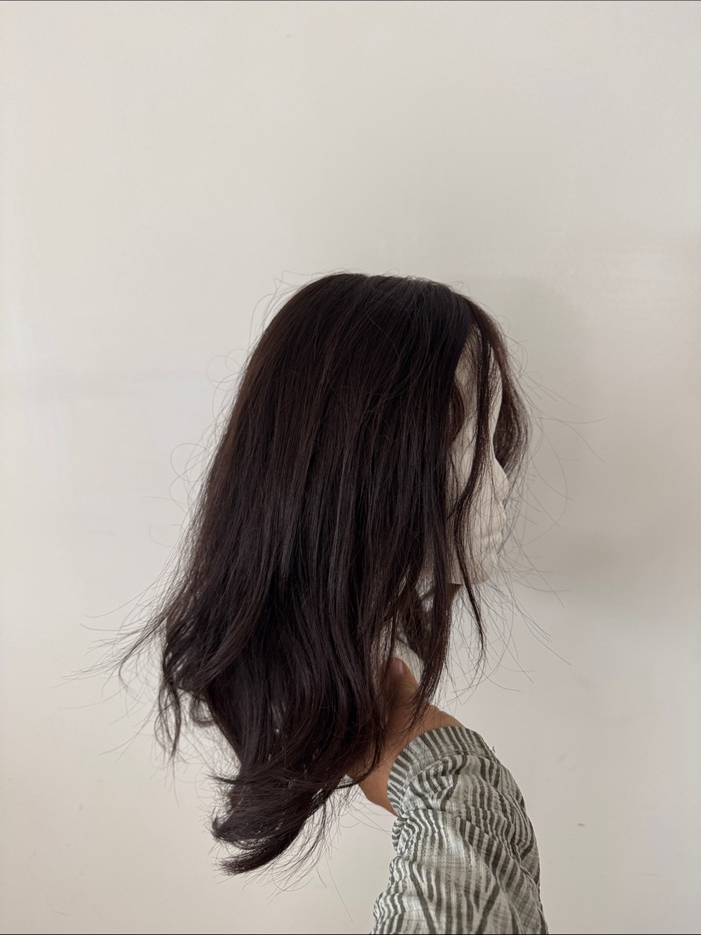 Brown Clip-In/Full Cap Women's Front Lace Wig - Classic Natural Look.